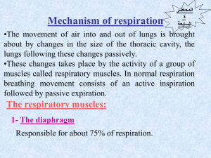 Mechanism of respiration