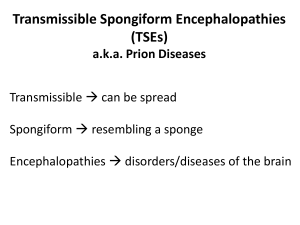Transmissible Spongiform Encephalopathies (TSEs)