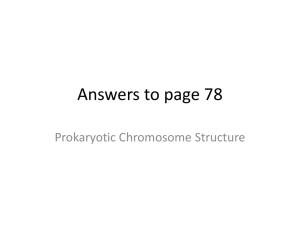 Answers to prokaryotic chromosome structure and alleles worksheet
