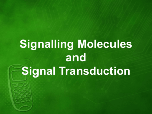 Signalling Molecules and Signal Transduction