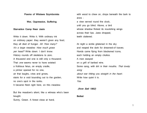 Poems of Wislawa Szymborska