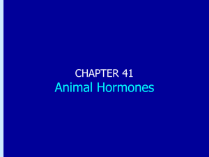 Chapter 41: Animal Hormones