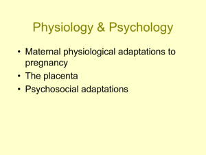Physiology and Psychology of Pregnancy