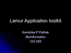 Lemur Application toolkit