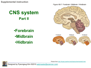 CNS system PartII