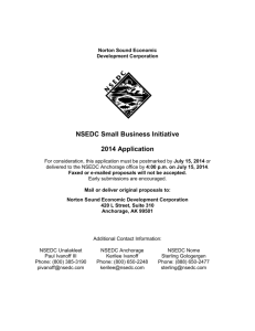 NSEDC Small Business Initiative 2014 Application