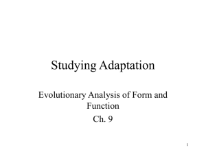 Studying Adaptation - NAU jan.ucc.nau.edu web server