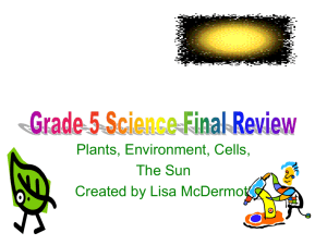 Grade 5 Science Final Review