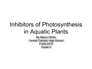 Inhibitors of Photosynthesis in Aquatic Plants
