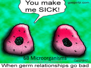 6B Microorganisms