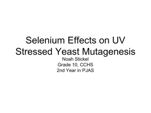 Noah Stickel Selenium on Yeast Mutagenesis CCHS 2015 (2)