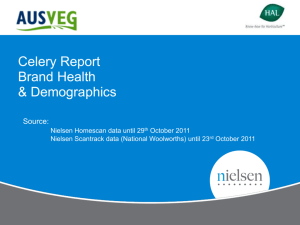 Celery Report Brand Health & Demographics