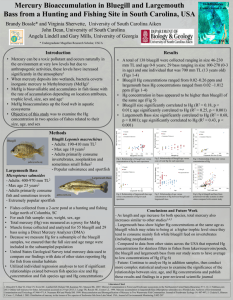 Bossle AFS 2013 Poster
