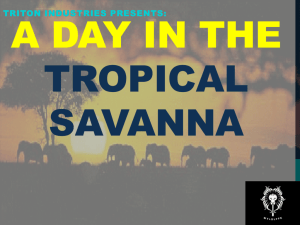 Tropical Savanna