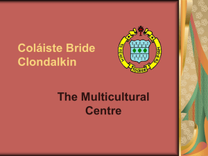 The Multicultural Centre—A Study of Integration