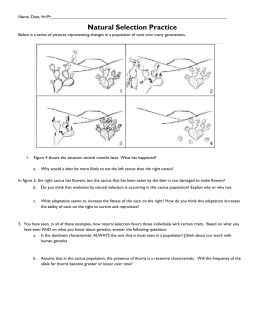 Natural selection worksheet 1  Summer Research Program for