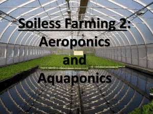 soilless farming Aquaponics