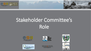 Stakeholder Role and AMP