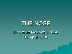 "The Nose" by Dr Serge Maurice, FRCS