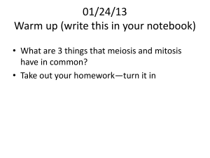 01/23/13 Warm up (write this in your notebook)