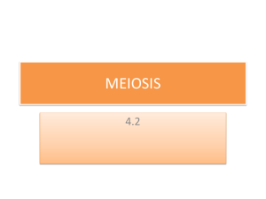 meiosis - Bioenviroclasswiki