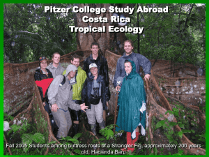 Tropical Ecology Course Pictures