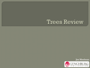 Tree Review - Joe Meehean