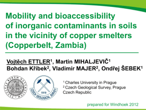 Presentation Ettler et al. Mobility and bioaccessibility