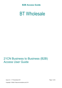 B2B Access Guide