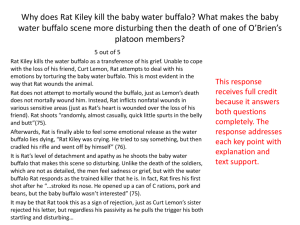 Why does Rat Kiley kill the baby water buffalo? What makes the