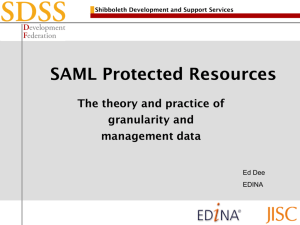 SAML protected resources: the theory and practice of granularity