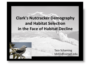 Clark's Nutcracker Demography and Habitat Selection in the face of