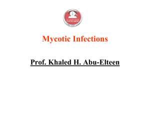 Lecture 5- Mycotic Infections-