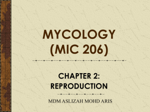 CHAP 2 Reproduction MIC 206