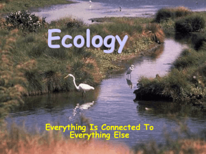 Ecology Presentation