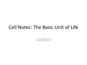 Cell Notes: The Basic Unit of Life