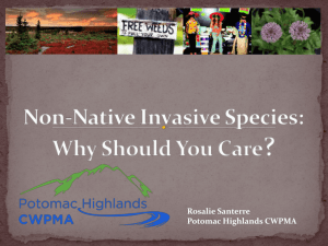 What qualities make species invasive?