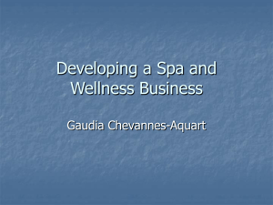 Developing a Spa and Wellness Business