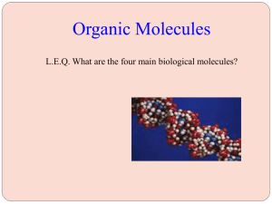 RACC BIO Organic Molecules