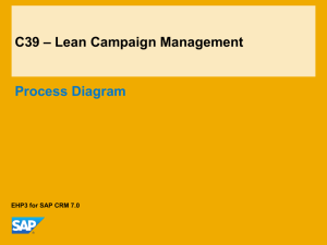 Process Overview - SAP Help Portal