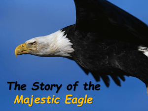 The story of the Eagle…