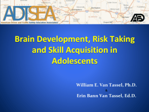 Brain Development, Risk Taking and Skill Acquisition in