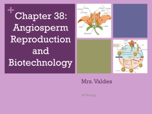 Ch. 38 Reproduction and Biotechnology