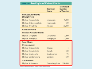 Plant Diversity I and II