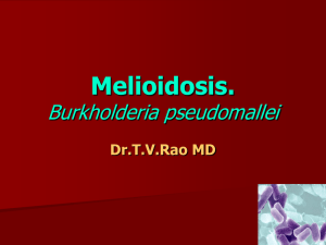 MELIDIOSIS - Medico Tutorials