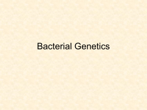 19 Bacterial Genetics 2011