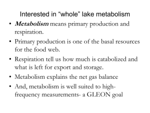 “Whole” lake metabolism