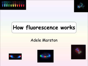 What is Fluorescence