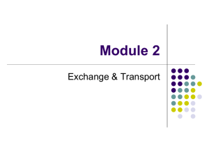 Module 2 Exchange & Transport