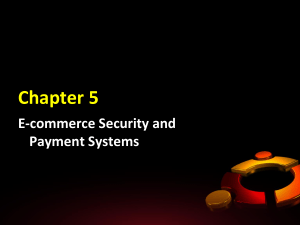 The E-commerce Security Environment